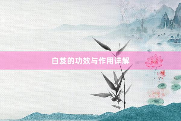 白芨的功效与作用详解