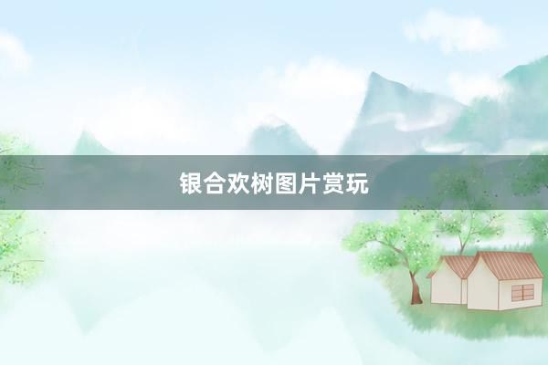 银合欢树图片赏玩