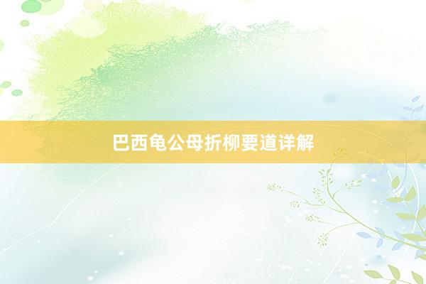 巴西龟公母折柳要道详解